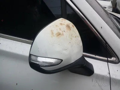 2021 Hyundai Santa FE KMHS381HGMU336284 VIN:KMHS381HGMU336284