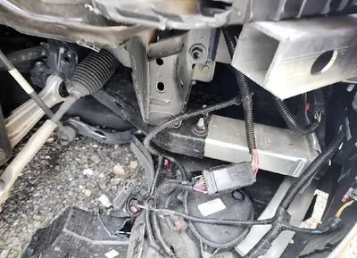 2021 Tesla Model 3 5YJ3E1EB3MF951606 VIN:5YJ3E1EB3MF951606
