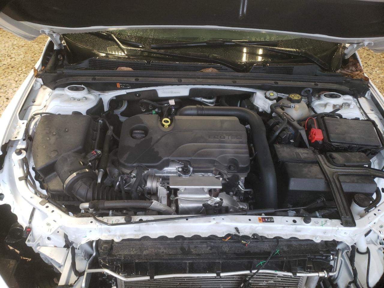 2023 CHEVROLET MALIBU LS VIN:1G1ZC5ST5PF186444