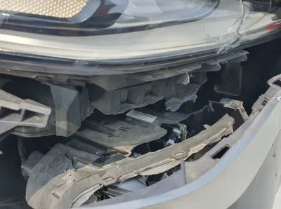 2019 Hyundai Santa FE KMHS381BBKU020928 VIN:KMHS381BBKU020928