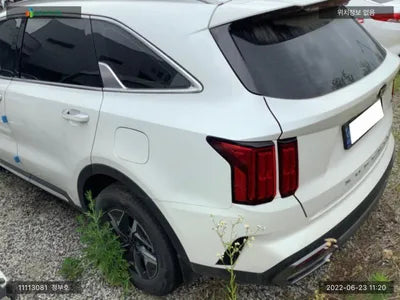 2020 Kia Sorento KNARH81GBMA020392 VIN:KNARH81GBMA020392