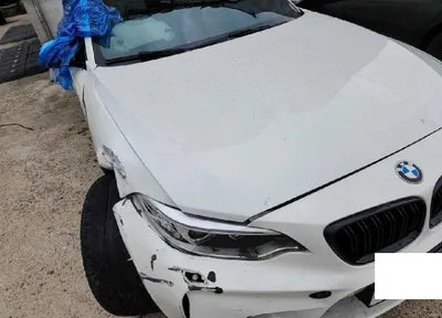 2016 BMW M2 WBS1H910XGV796164 VIN:WBS1H910XGV796164