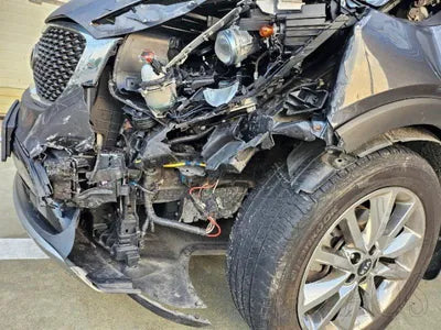 2017 Kia Sorento KNAPH81ADHA343768 VIN:KNAPH81ADHA343768