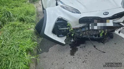2019 Kia Sportage 075KMKNAPR813BKK6 VIN:075KMKNAPR813BKK6