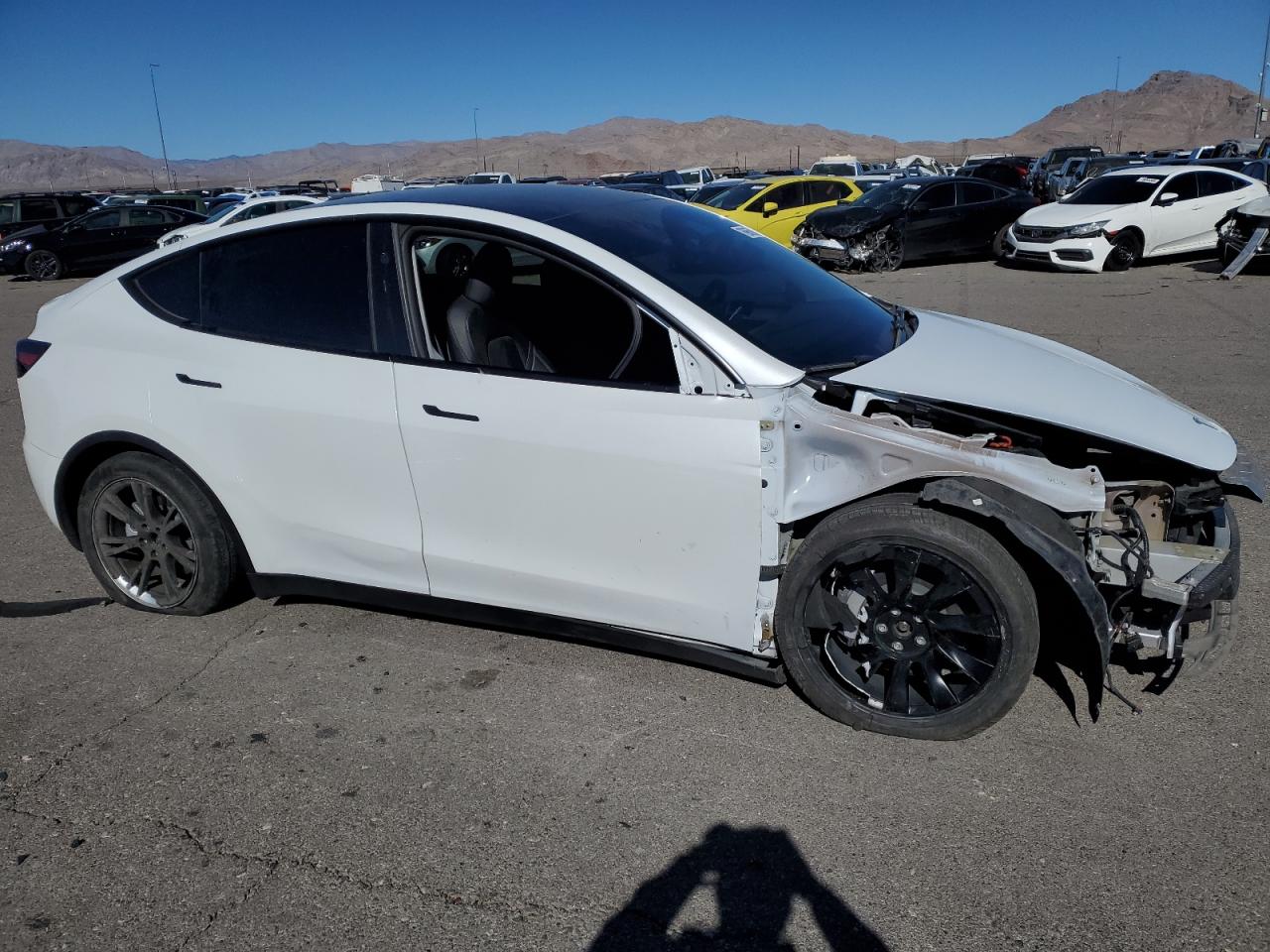2023 TESLA MODEL Y  VIN:7SAYGDEE4PF850836