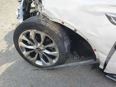 2020 Kia Sorento KNARK81BGMA038540 VIN:KNARK81BGMA038540