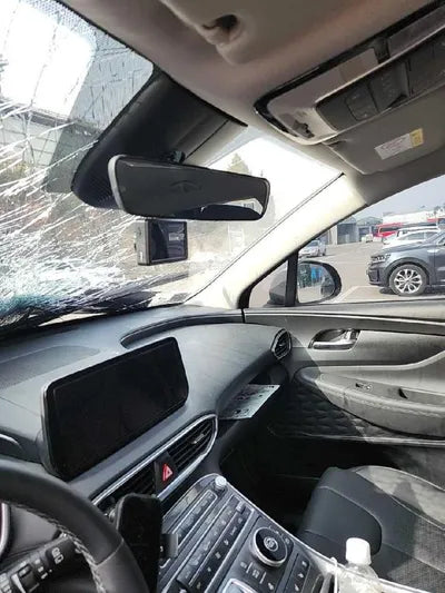 2021 Hyundai Santa FE KMHS281LGMU408378 VIN:KMHS281LGMU408378