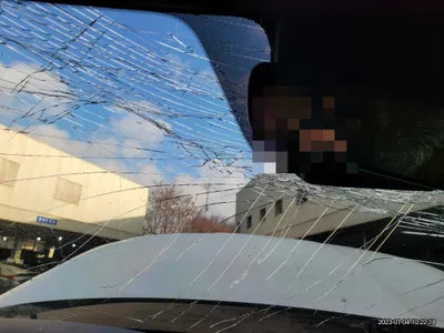 2020 Kia Sorento KNAPS81ABLA625226 VIN:KNAPS81ABLA625226