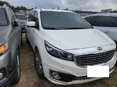 2018 Kia Carnival KNAMC81ABJS411166 VIN:KNAMC81ABJS411166