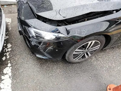 2021 Mercedes-Benz A 200 W1K3G1CB5MJ262050 VIN:W1K3G1CB5MJ262050