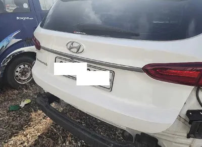 2020 Hyundai Santa FE 1KMHS381ABLU19660 VIN:1KMHS381ABLU19660