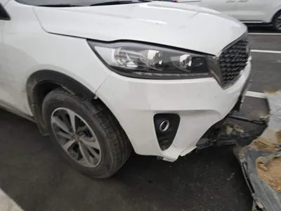 2019 Kia Sorento KNAPG81BDKA540068 VIN:KNAPG81BDKA540068