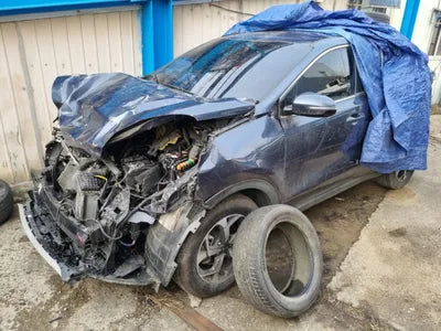 2020 Kia Sportage KNAPL812GLK818698 VIN:KNAPL812GLK818698