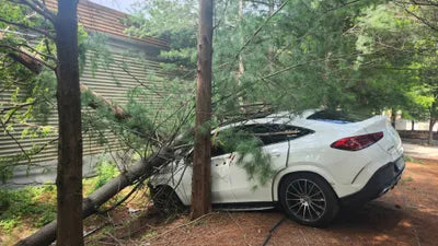 2022 Mercedes-Benz GLE 400 W1NFD2DB9NA733664 VIN:W1NFD2DB9NA733664