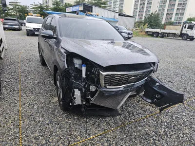 2019 Kia Sorento KNAPF81ABLA572561 VIN:KNAPF81ABLA572561