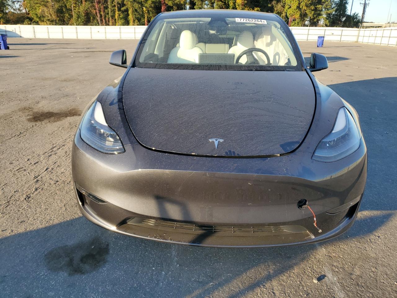 2024 TESLA MODEL Y  VIN:7SAYGDEE2RA326603