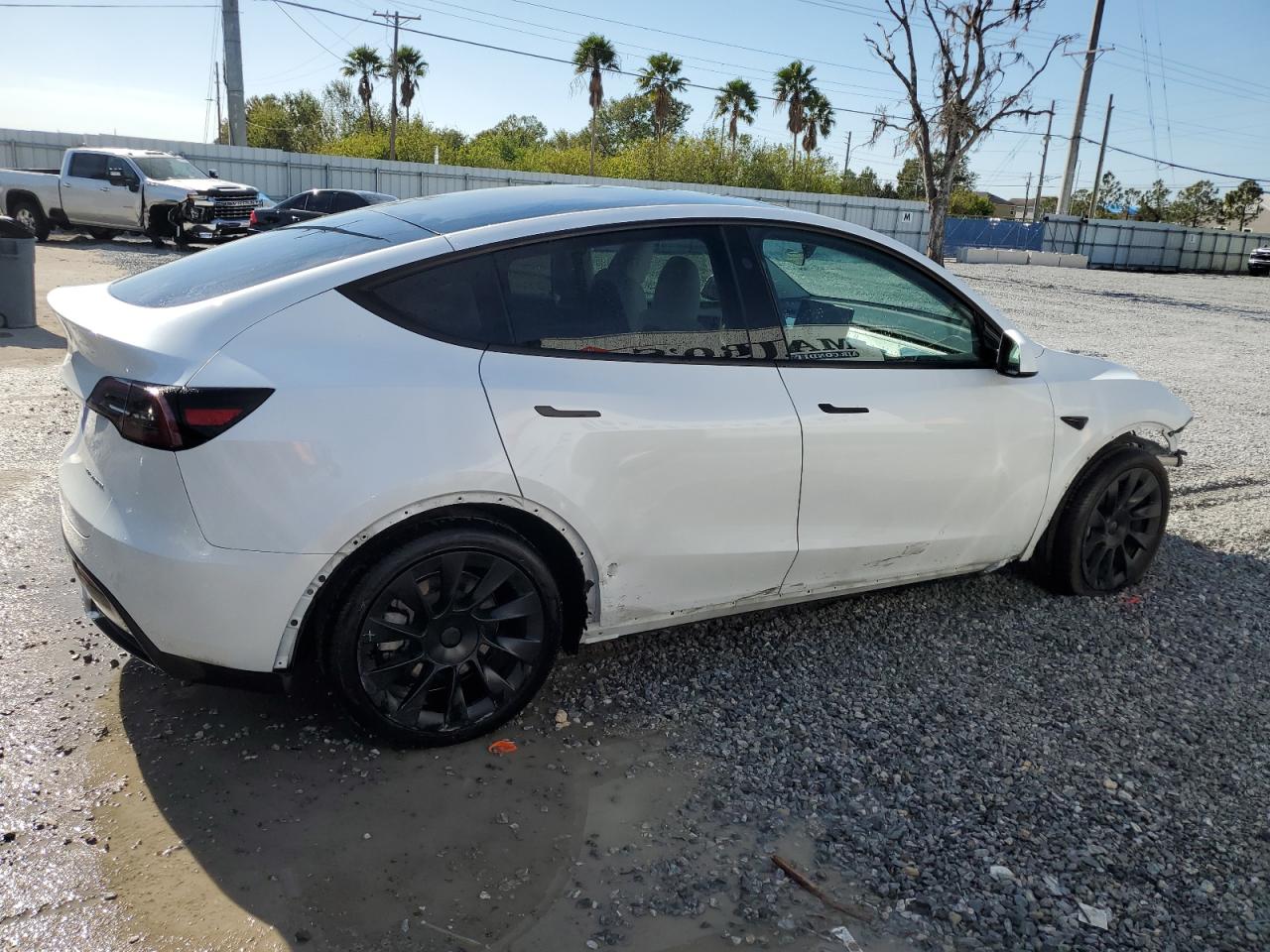 2024 TESLA MODEL Y  VIN:7SAYGDEE2RA265477