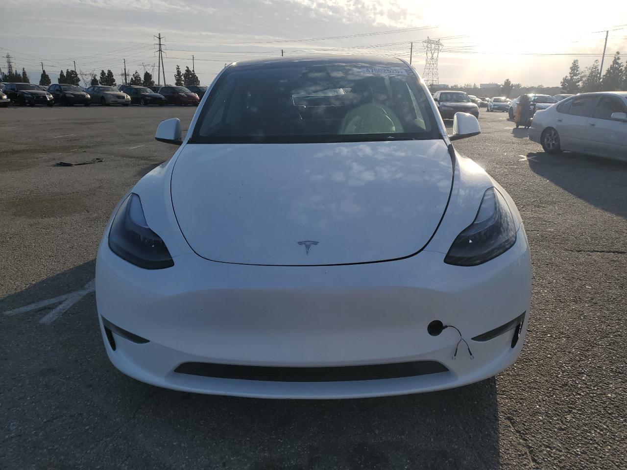 2024 TESLA MODEL Y VIN:7SAYGDED6RF110635