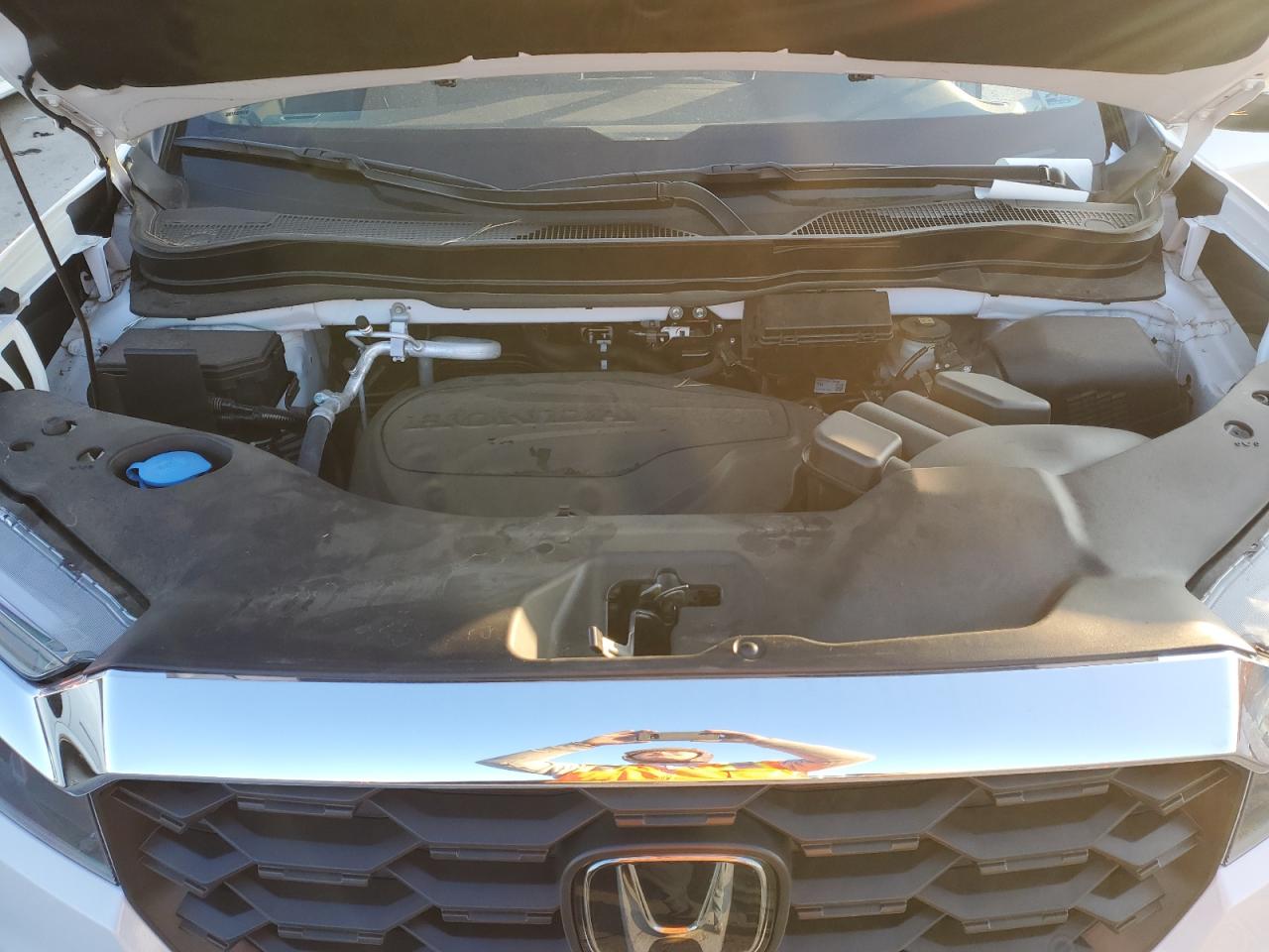 2023 HONDA PASSPORT EXL VIN:5FNYF8H58PB038362