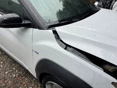 2019 Hyundai Kona KMHK381GFKU059032 VIN:KMHK381GFKU059032
