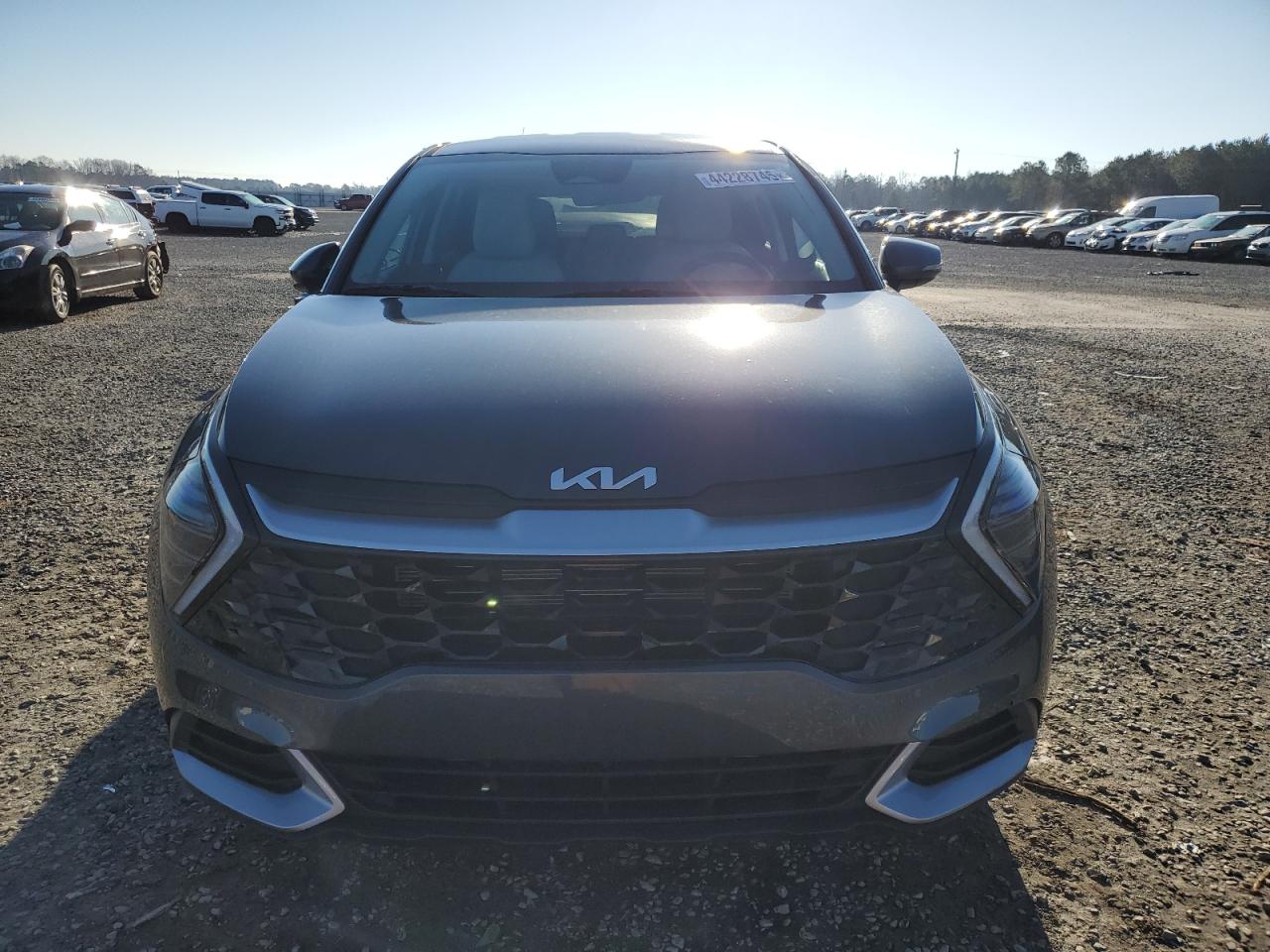 2024 KIA SPORTAGE EX VIN:5XYK33DF4RG211144