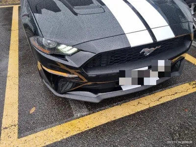 2019 Ford Mustang VIN:
