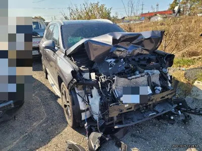 2018 Hyundai Santa FE KMHSW81UBJU782437 VIN:KMHSW81UBJU782437