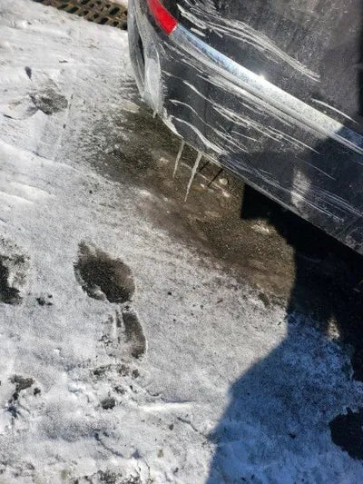 2016 BMW 750 WBA7F2100GG525176 VIN:WBA7F2100GG525176