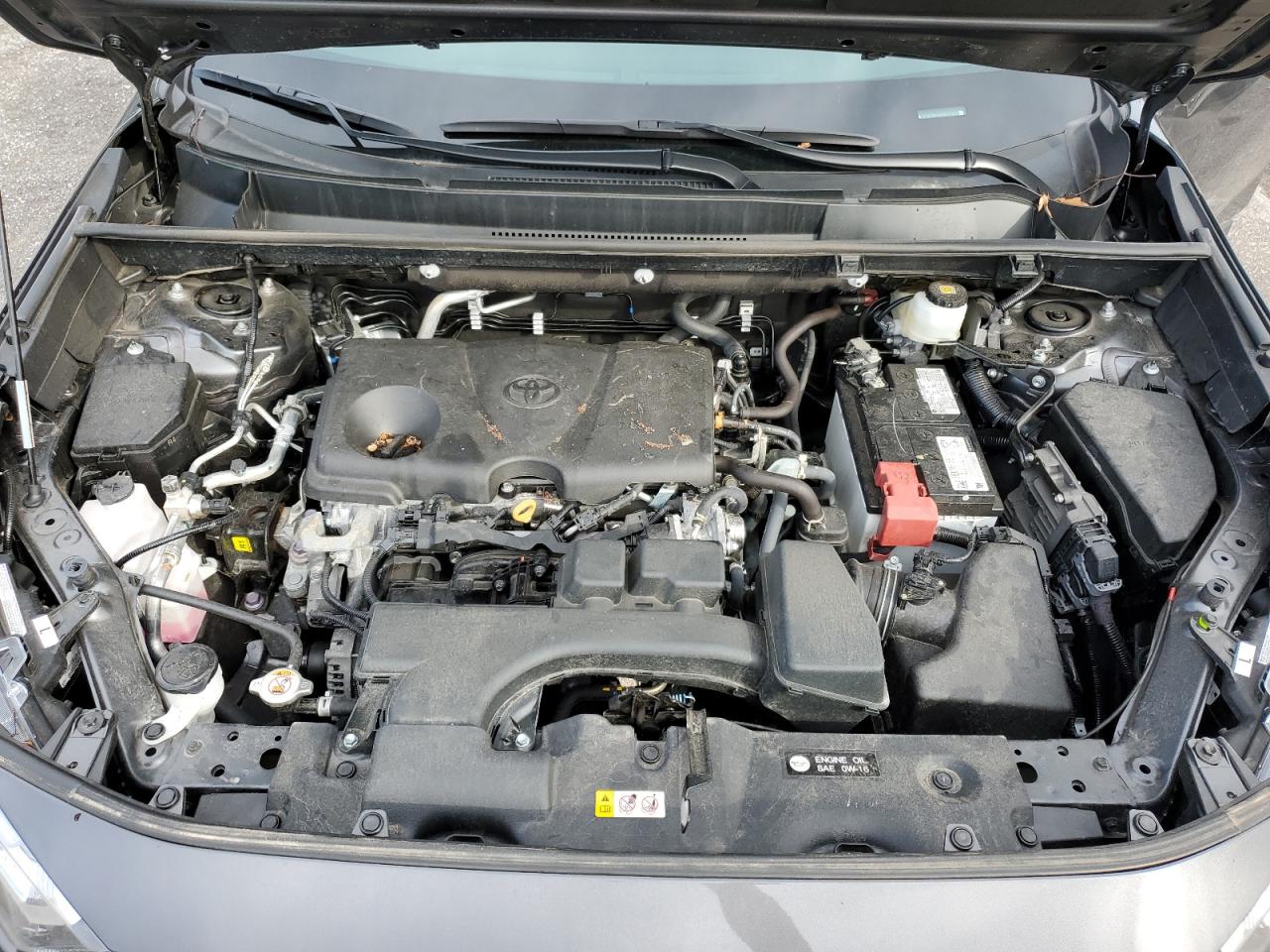 2023 TOYOTA RAV4 XLE VIN:2T3P1RFVXPW342208