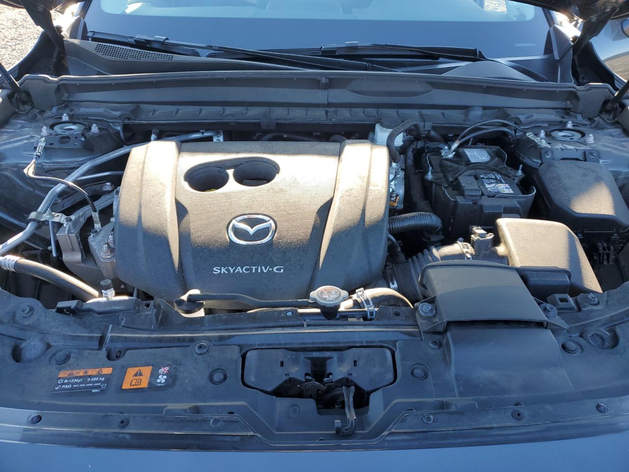 2024 MAZDA CX-50 PREMIUM VIN:7MMVABDMXRN163895