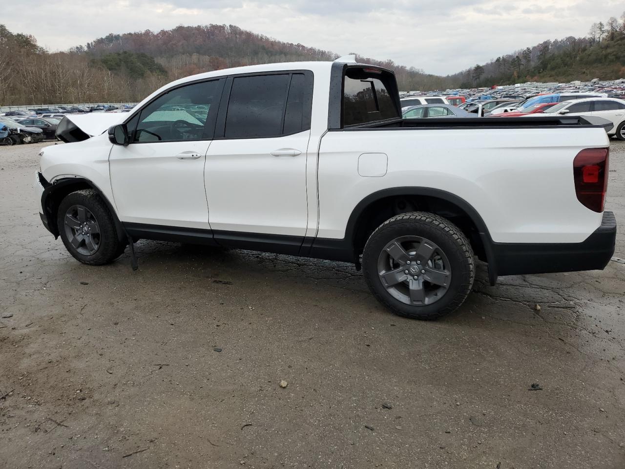 2024 HONDA RIDGELINE TRAIL SPORT VIN:5FPYK3F65RB023614
