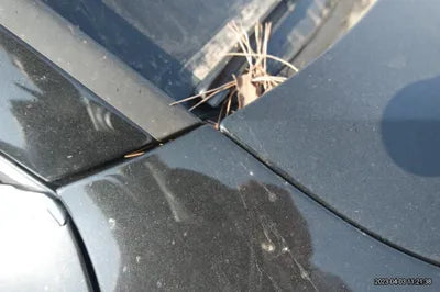 2016 Audi A6 WAUZZZ4G7GN171055 VIN:WAUZZZ4G7GN171055