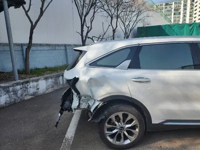 2021 Kia Sorento KNARL81BGMA107329 VIN:KNARL81BGMA107329