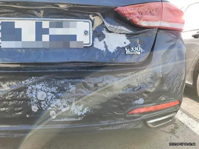 2016 acupuncture nessis 3.3 VIN: