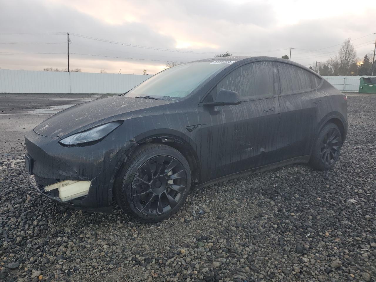 2023 TESLA MODEL Y  VIN:7SAYGDEE7PF811741