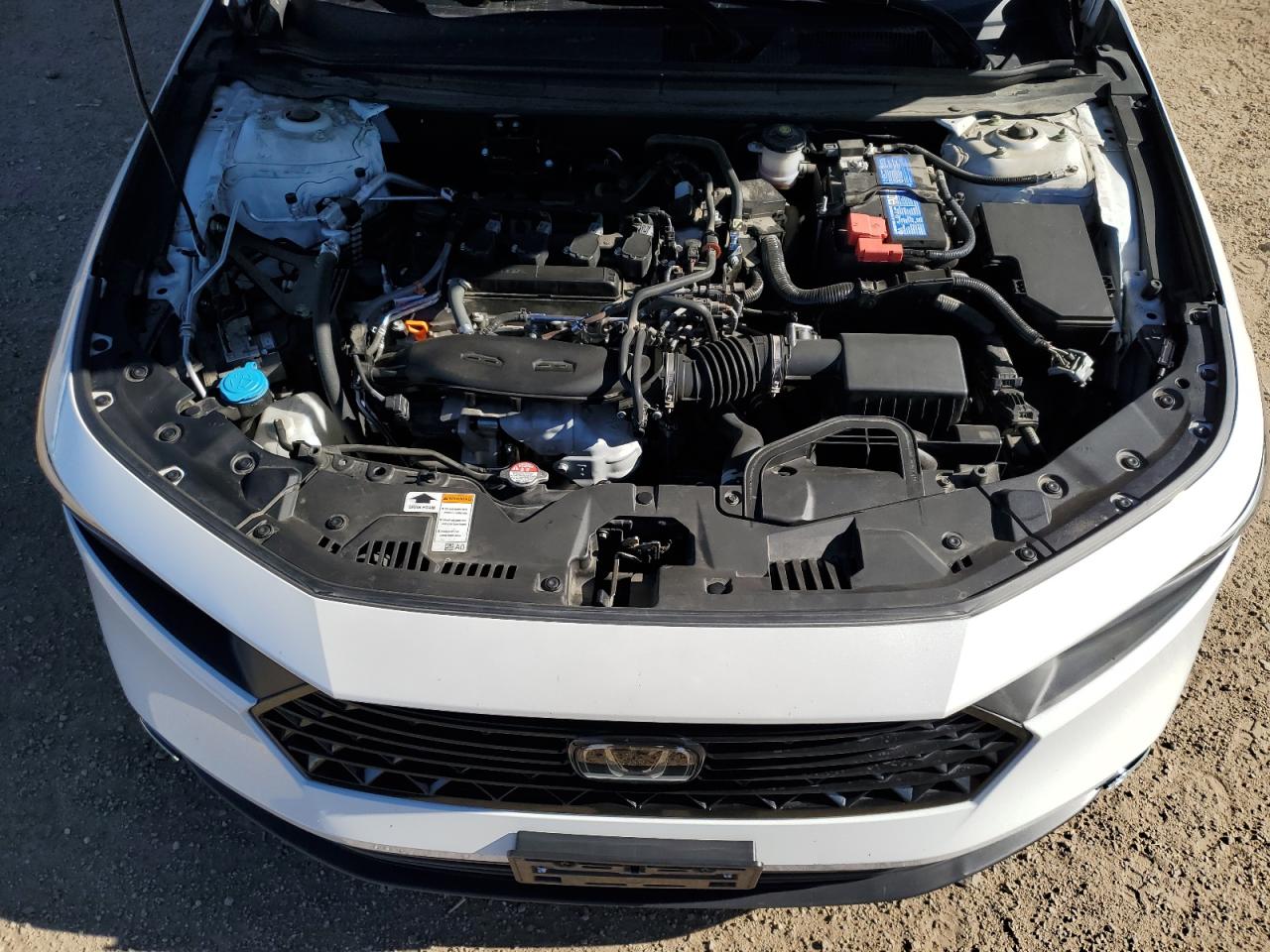 2023 HONDA ACCORD LX VIN:1HGCY1F23PA057836