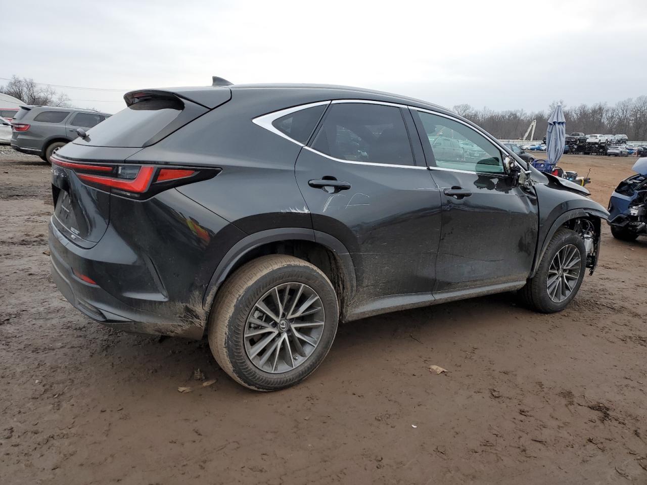 2023 LEXUS NX 250 VIN:2T2ADCEZ8PC002964