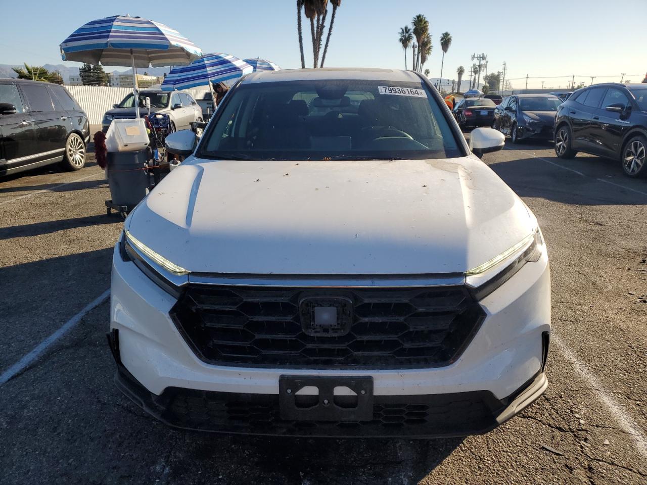 2024 HONDA CR-V EX VIN:2HKRS3H43RH305986