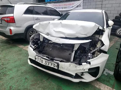 2019 Kia K5 KNAGW411BKA310136 VIN:KNAGW411BKA310136