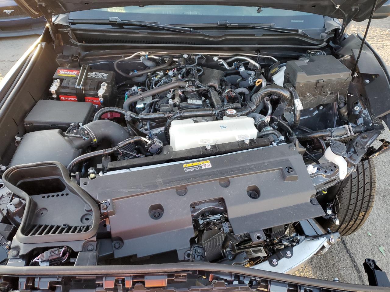2024 TOYOTA TACOMA DOUBLE CAB VIN:3TMLB5JN8RM013751