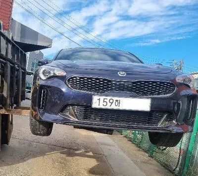 2019 Kia Stinger KNAE251ABLS079352 VIN:KNAE251ABLS079352