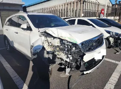 2019 Kia Sorento KNAPK81BBKA548471 VIN:KNAPK81BBKA548471