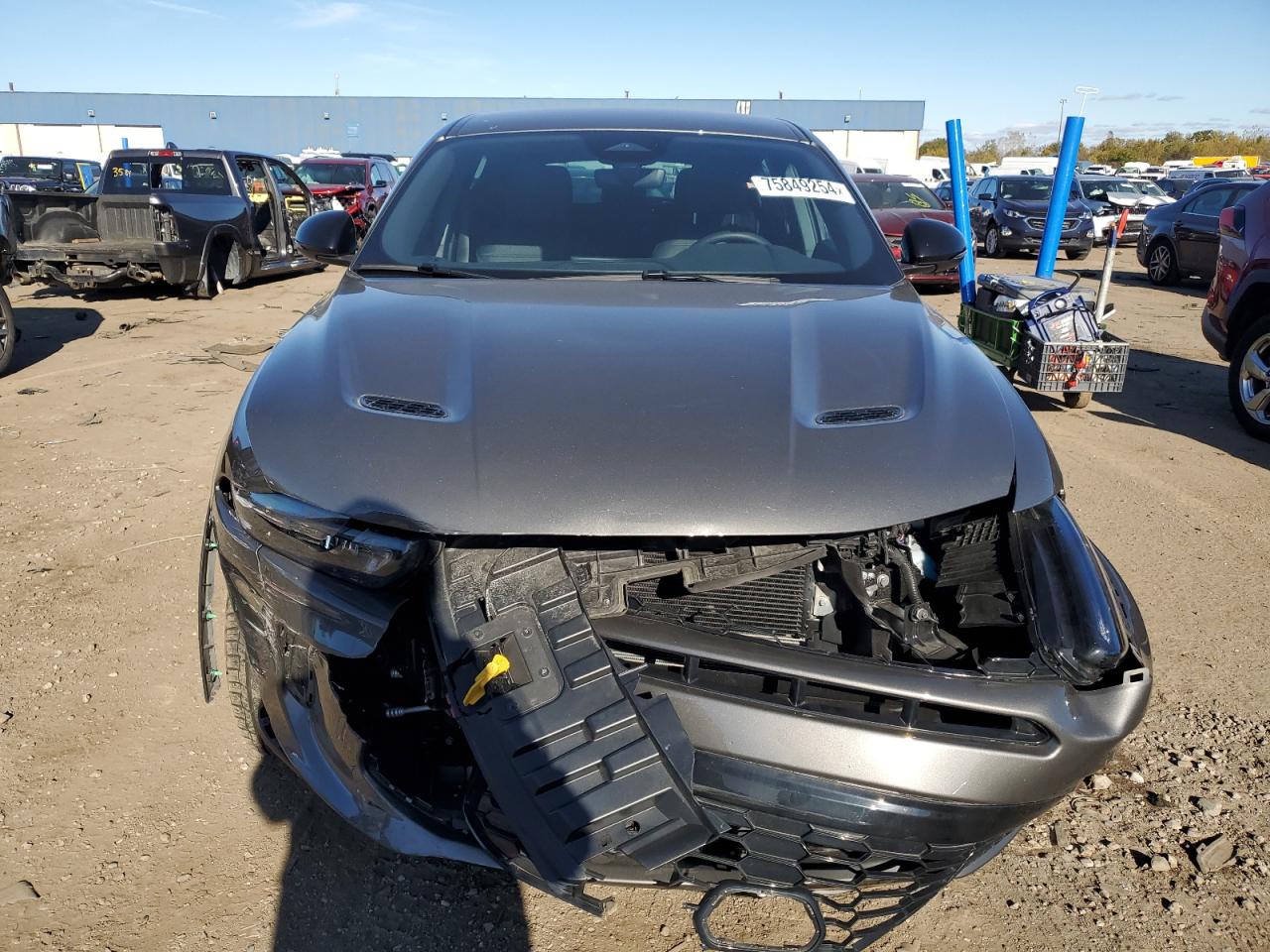 2024 DODGE HORNET GT VIN:ZACNDFAN4R3A13792