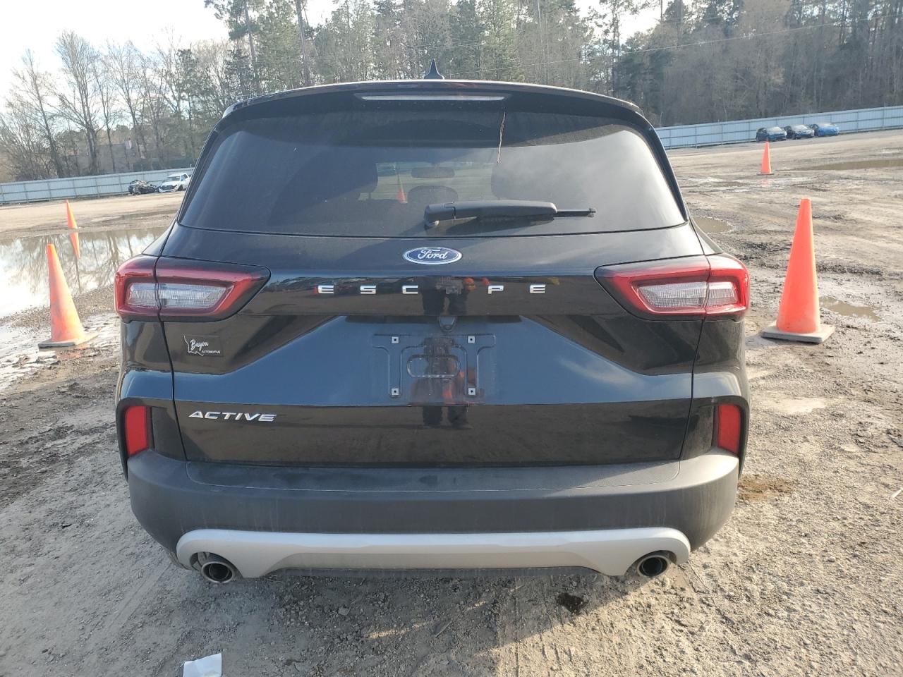 2024 FORD ESCAPE ACTIVE VIN:1FMCU0GN9RUB14096