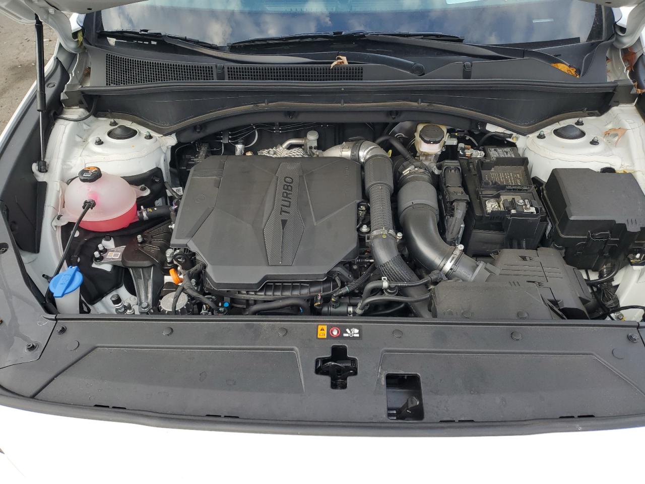 2023 HYUNDAI SANTA FE CALLIGRAPHY VIN:5NMS5DAL9PH638154