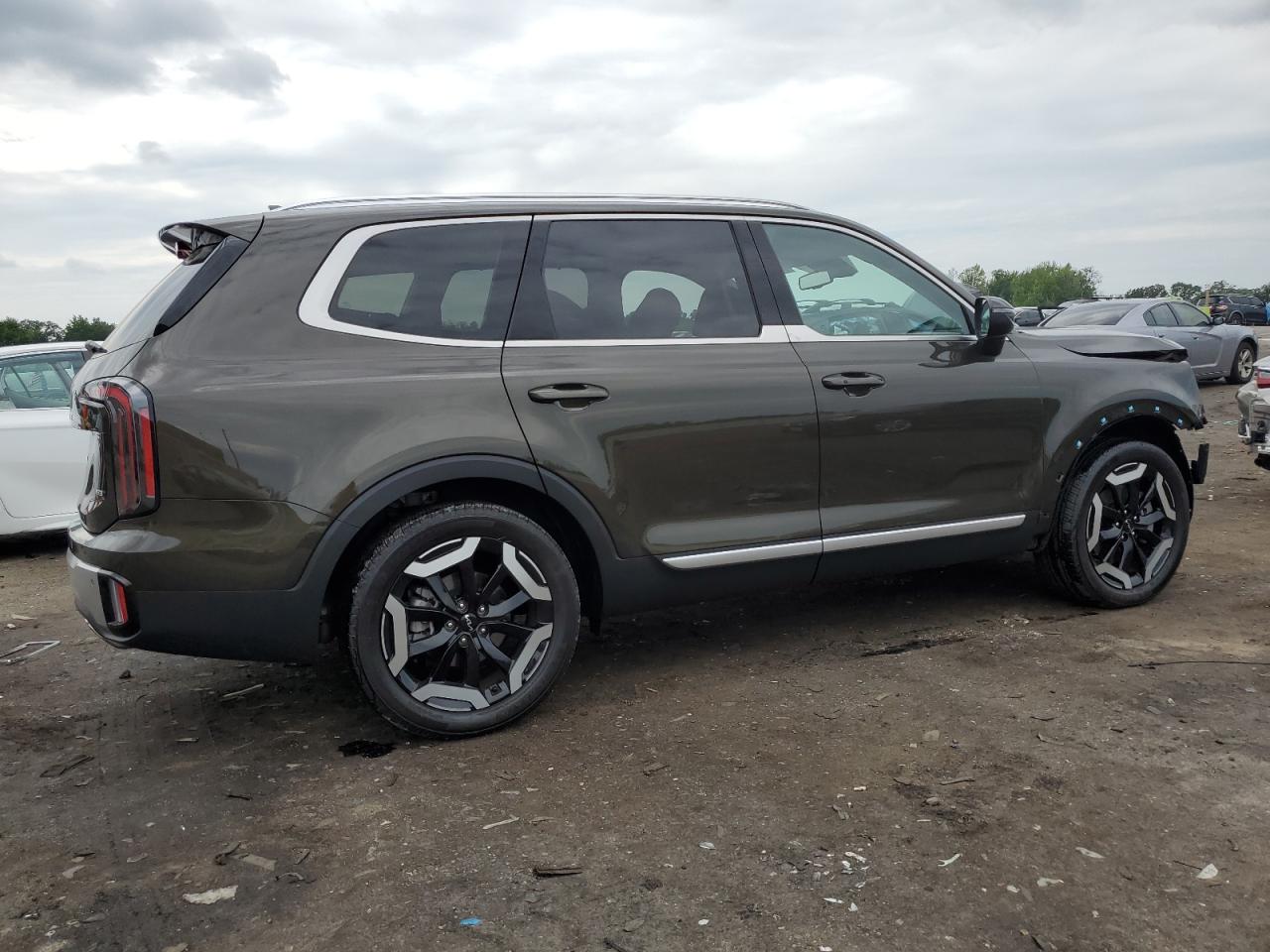 2024 KIA TELLURIDE EX VIN:5XYP3DGC9RG419078