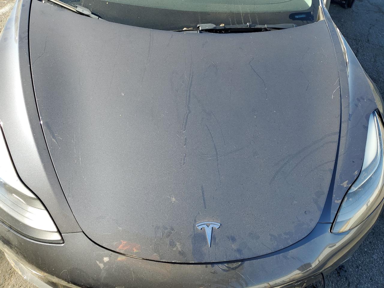 2023 TESLA MODEL 3  VIN:5YJ3E1EA3PF447004