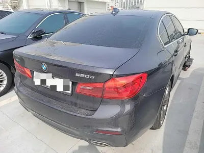 2019 BMW 520 WBAJF510XLWW55120 VIN:WBAJF510XLWW55120