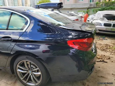 2020 BMW 520 WBAJF5100LWW58480 VIN:WBAJF5100LWW58480