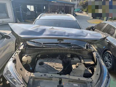 2020 Hyundai Tucson KMHJ3817GLU276808 VIN:KMHJ3817GLU276808